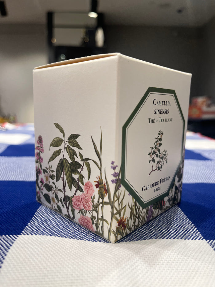Tea Plant candle by Carrière Frères