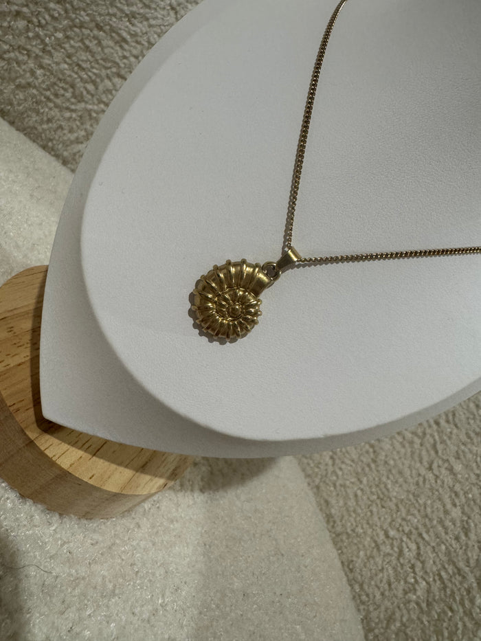 Conch Shell Necklace