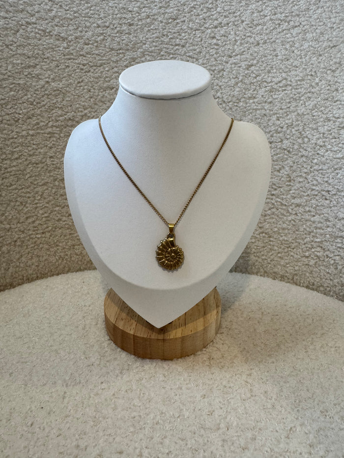 Conch Shell Necklace