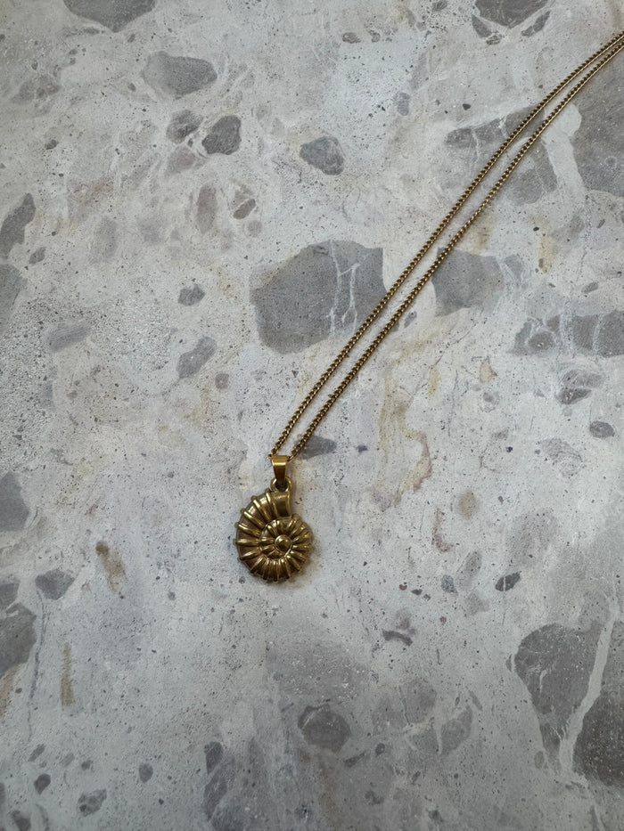 Conch Shell Necklace