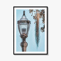 Baton Rouge Fine Art Photo Print, Louisiana, USA, Lantern, Spanish Moss, Wall Art