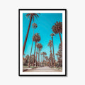 Beverly Hills Fine Art Photo Print, Los Angeles, California, Palm Trees, Photo Poster