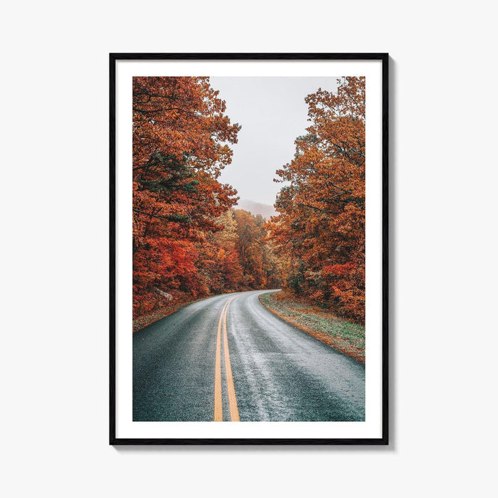Blue Ridge Parkway Fine Art Photo Print, Virginia, Appalachian Mountains, USA Wall Poster