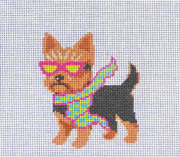 Bougie Yorkie
