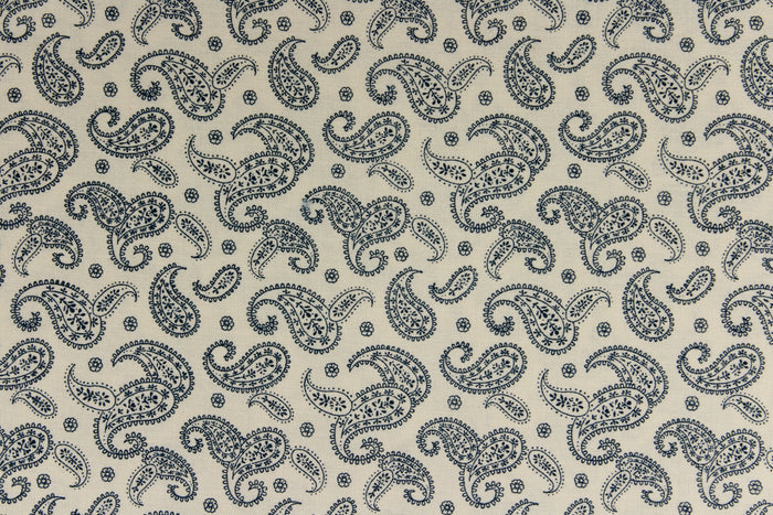 A fun paisley design in basic color of  blue set against a cream background.