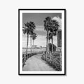 Clearwater Beach Black and White Fine Art Photo Print, Florida Palm Trees, USA Poster
