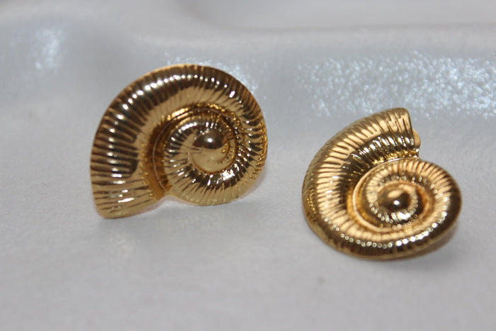 Conch Shell Earrings