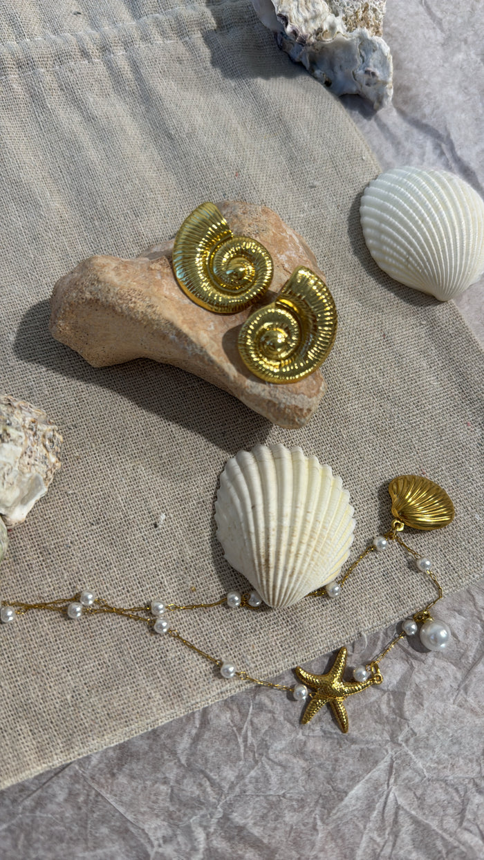 Conch Shell Earrings