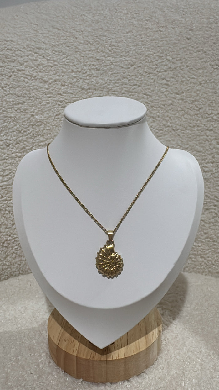 Conch Shell Necklace