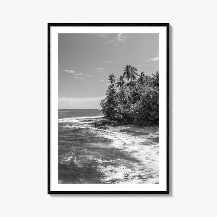Costa Rica Black and White Fine Art Photo Print, Manzanillo Caribbean Puerto Viejo Poster