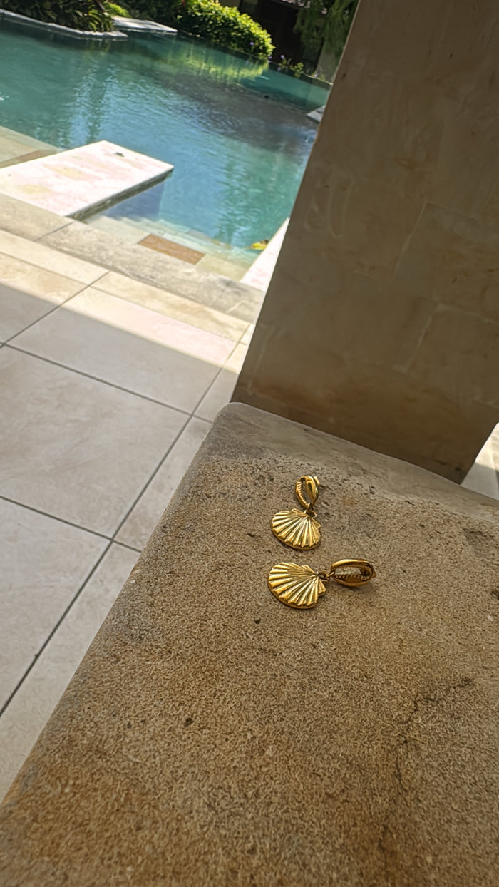 Crowrie Shell Dangle Earrings