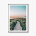 Dana Point Fine Art Photo Print, California Headlands, Orange County Poster