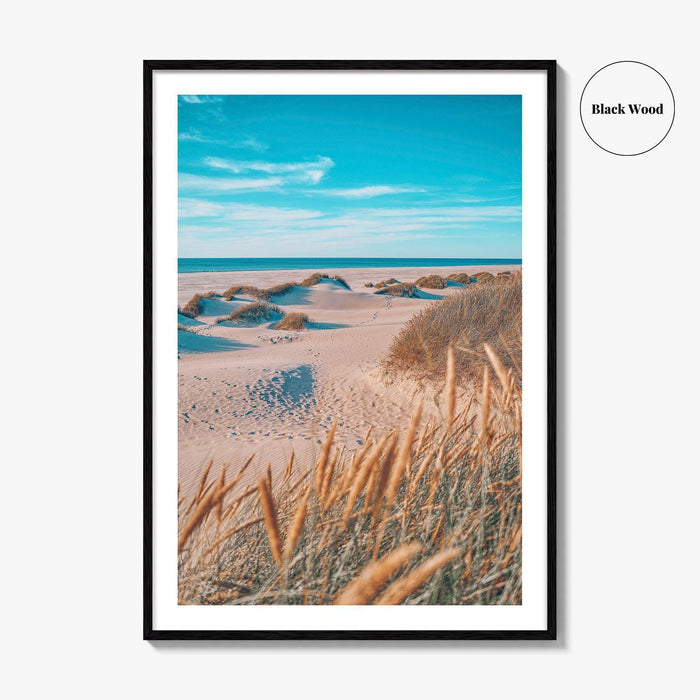 Denmark Fine Art Photo Print, North Sea Beach Grass Dunes, Danish Coast Poster