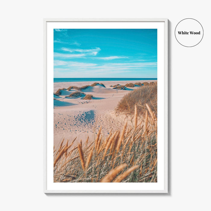 Denmark Fine Art Photo Print, North Sea Beach Grass Dunes, Danish Coast Poster