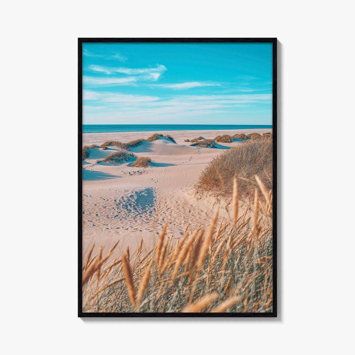 Denmark Fine Art Photo Print, North Sea Beach Grass Dunes, Danish Coast Poster