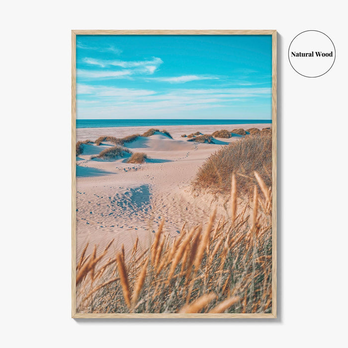 Denmark Fine Art Photo Print, North Sea Beach Grass Dunes, Danish Coast Poster