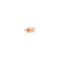 DODO NATURE EARRING