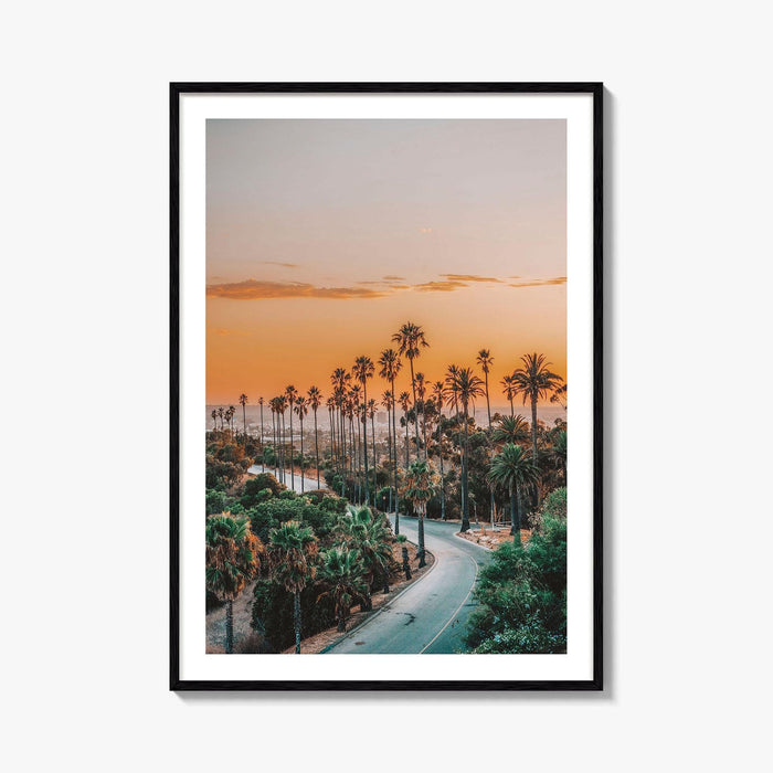 Elysian Park Fine Art Photo Print, Los Angeles, LA, California, USA, Palm Trees