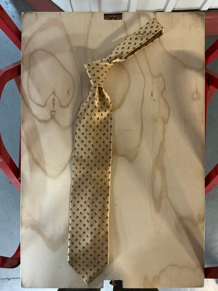 Ermenegildo Zegna tie