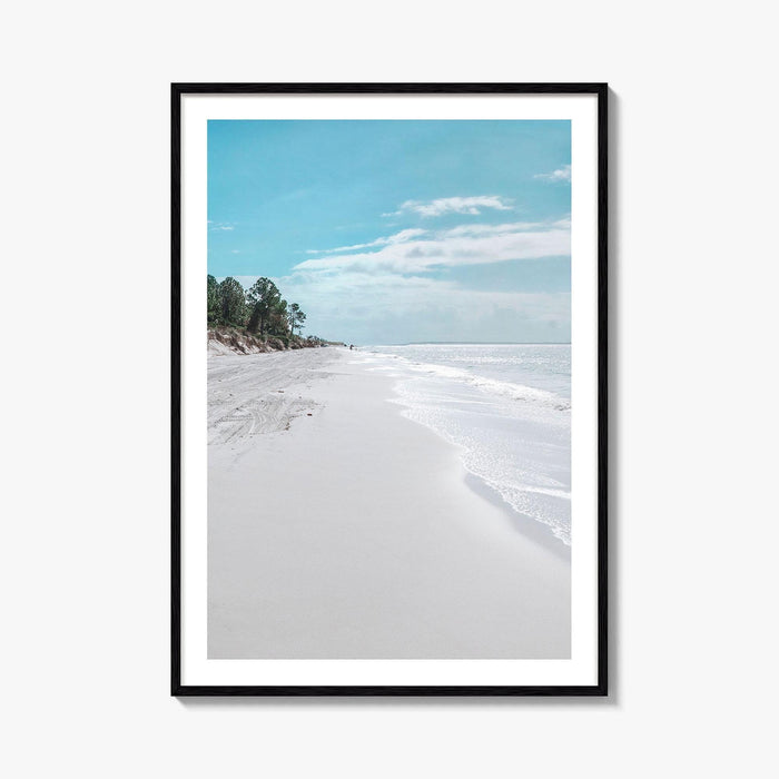 Fernandina Beach Fine Art Photo Print, Amelia Island, Florida, USA, Wall Poster, Coastal Birds