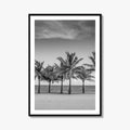 Key Biscayne Black and White Fine Art Photo Print, Miami Palm Trees Florida Poster