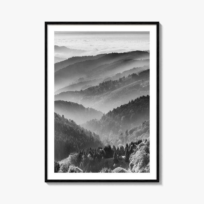 Schwarzwald Black and White Fine Art Photo Print, Baden-Württemberg Poster