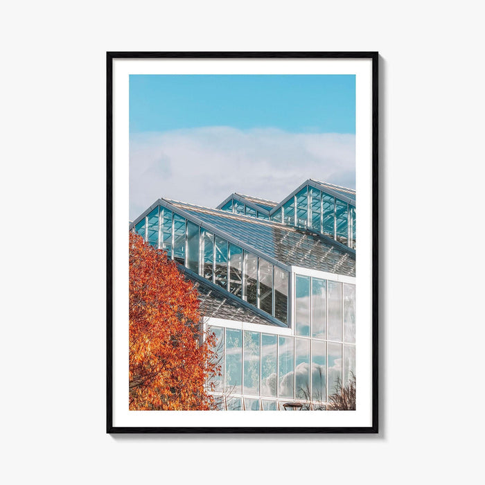 Grand Rapids Fine Art Photo Print, Frederik Meijer Gardens Greenhouse, Michigan, Wall Art