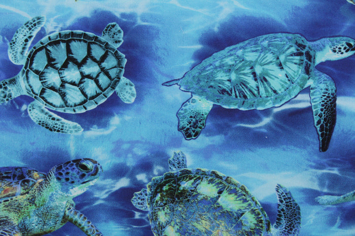Greta Lynn Oceana Sea Turtle Haven in 108" Width Quilt Backing for Benartex