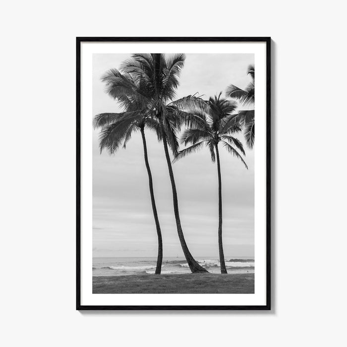 Haleiwa Black and White Fine Art Photo Print, Oahu Palm Trees, Hawaii Poster