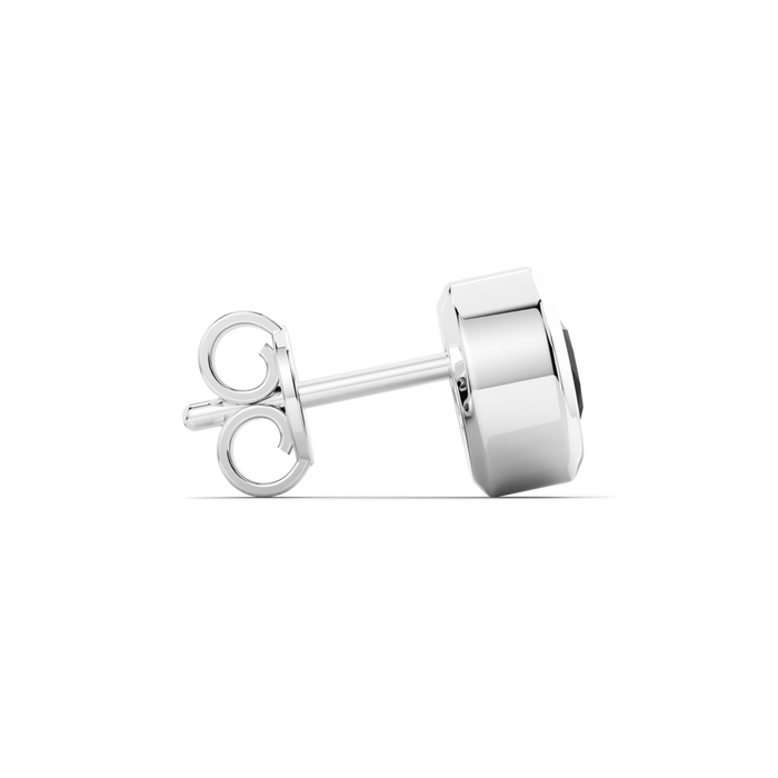 INSIGNIA COLOR EARRINGS
