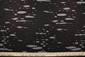 This stretch lycra blend fabric in black with undertones of red.