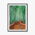Kyoto, Japan Fine Art Photo Print, Arashiyama Bamboo Forest, Wall Decor Poster