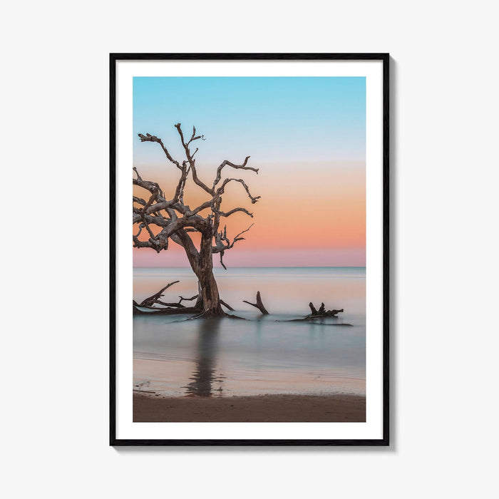 Jekyll Island Fine Art Photo Print, Driftwood Beach Georgia, Wall Poster, Coastal, USA