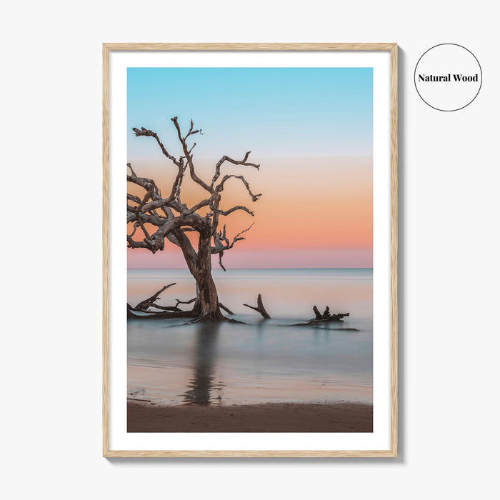 Jekyll Island Fine Art Photo Print, Driftwood Beach Georgia, Wall Poster, Coastal, USA