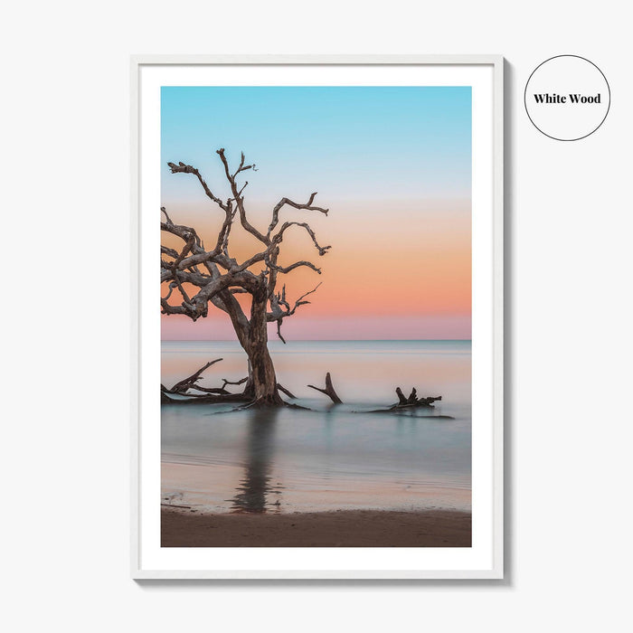 Jekyll Island Fine Art Photo Print, Driftwood Beach Georgia, Wall Poster, Coastal, USA