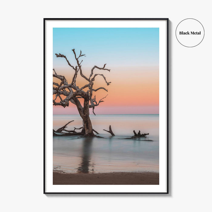 Jekyll Island Fine Art Photo Print, Driftwood Beach Georgia, Wall Poster, Coastal, USA