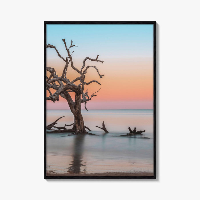 Jekyll Island Fine Art Photo Print, Driftwood Beach Georgia, Wall Poster, Coastal, USA