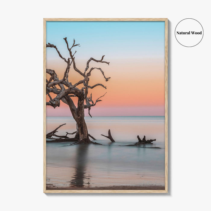 Jekyll Island Fine Art Photo Print, Driftwood Beach Georgia, Wall Poster, Coastal, USA