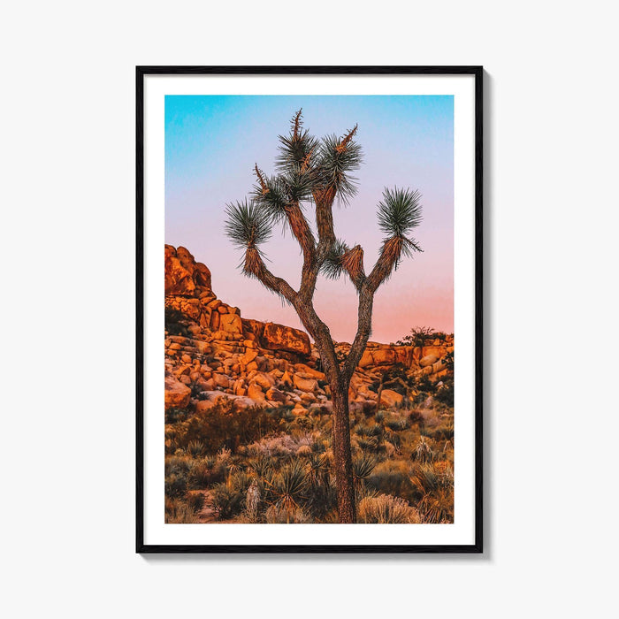 Joshua Tree National Park Blue Fine Art Photo Print, California Wall Decor Poster, USA