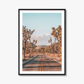 Joshua Tree National Park Fine Art Photo Print, California Desert Wall Art Poster