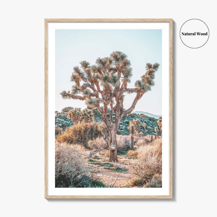 Joshua Tree National Park Fine Art Photo Print, California Desert Poster, Palm Springs