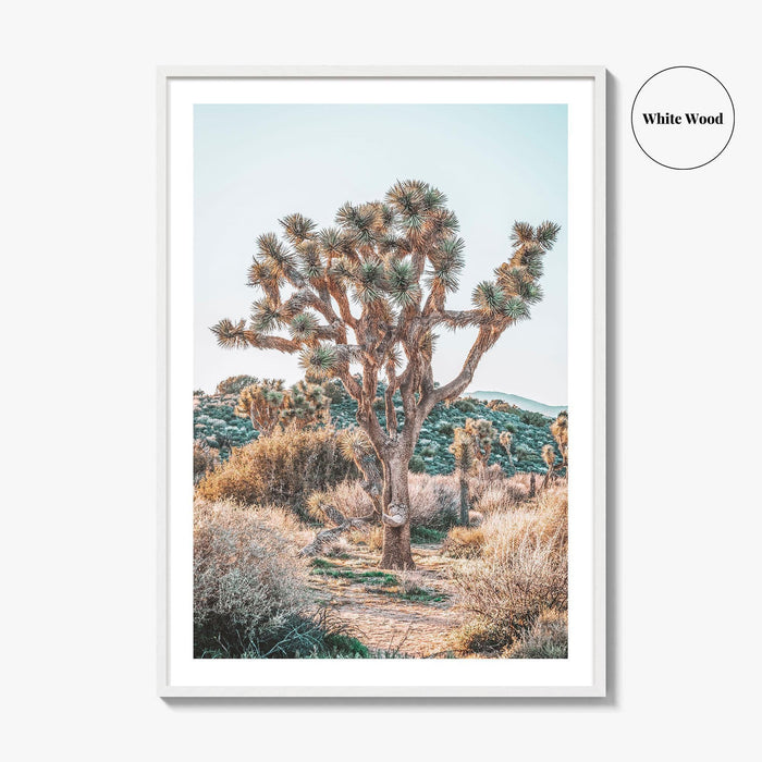 Joshua Tree National Park Fine Art Photo Print, California Desert Poster, Palm Springs