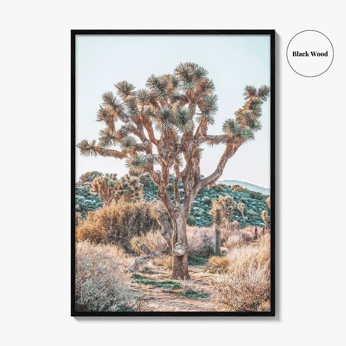 Joshua Tree National Park Fine Art Photo Print, California Desert Poster, Palm Springs