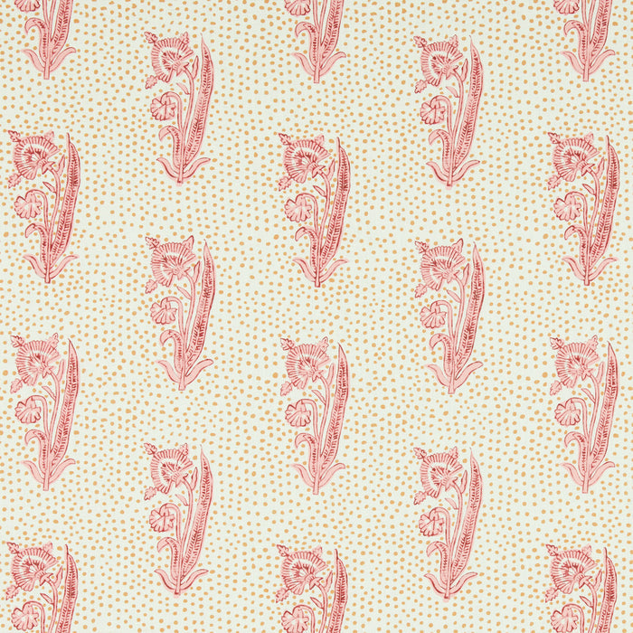 Kalindi Reverse