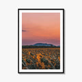 Kansas Fine Art Photo Print, Sunflower Field, USA Wall Decor Poster