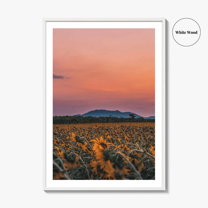 Kansas Fine Art Photo Print, Sunflower Field, USA Wall Decor Poster