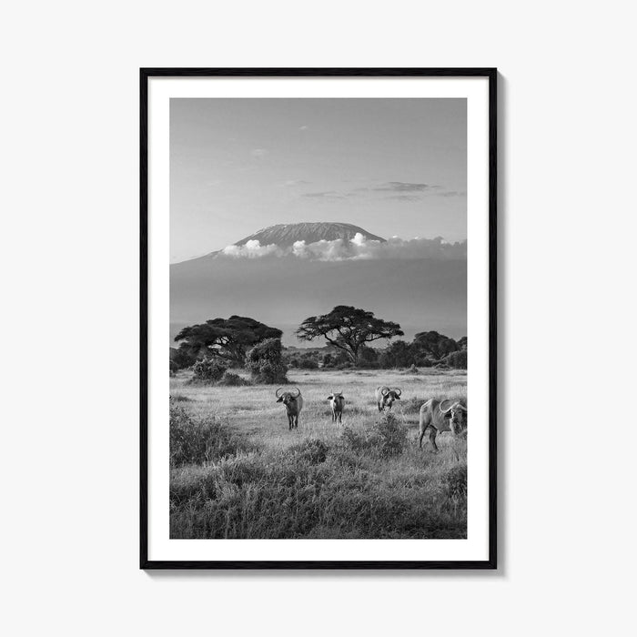 Mount Kilimanjaro Black and White Fine Art Photo Print, Amboseli, Kenya, Tanzania, Poster