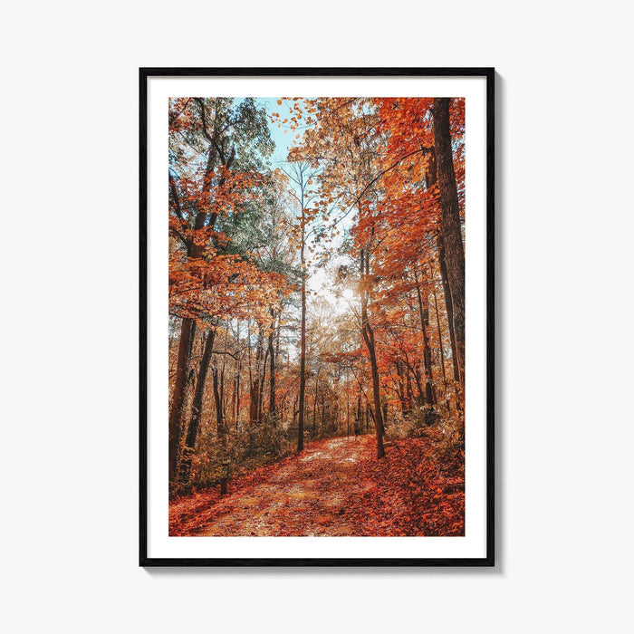 Knoxville Fine Art Photo Print, Tennessee Fall Foliage Wall Decor Poster, TN