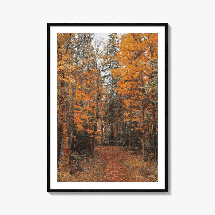 Arrowhead Provincial Park Fine Art Photo Print, Huntsville Ontario Canada, Algonquin Highlands, Wall Poster