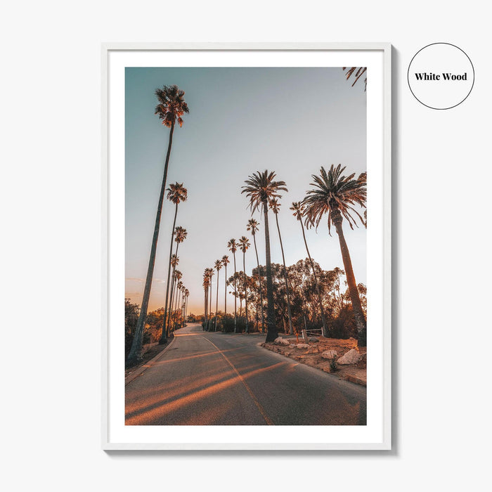 Los Angeles Fine Art Photo Print, Elysian Park, Palm Trees, California Wall Decor